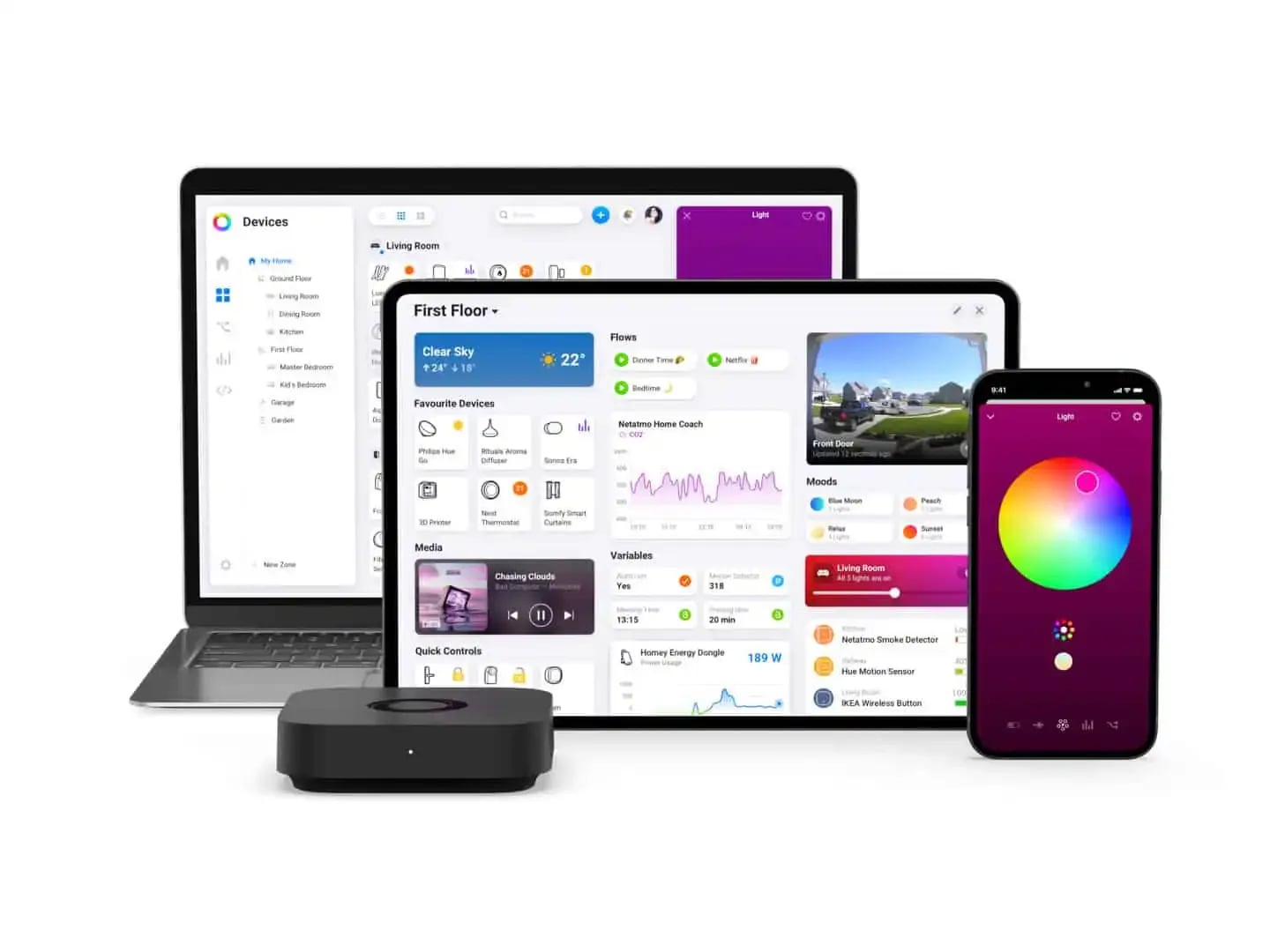 Homey Pro Mini App