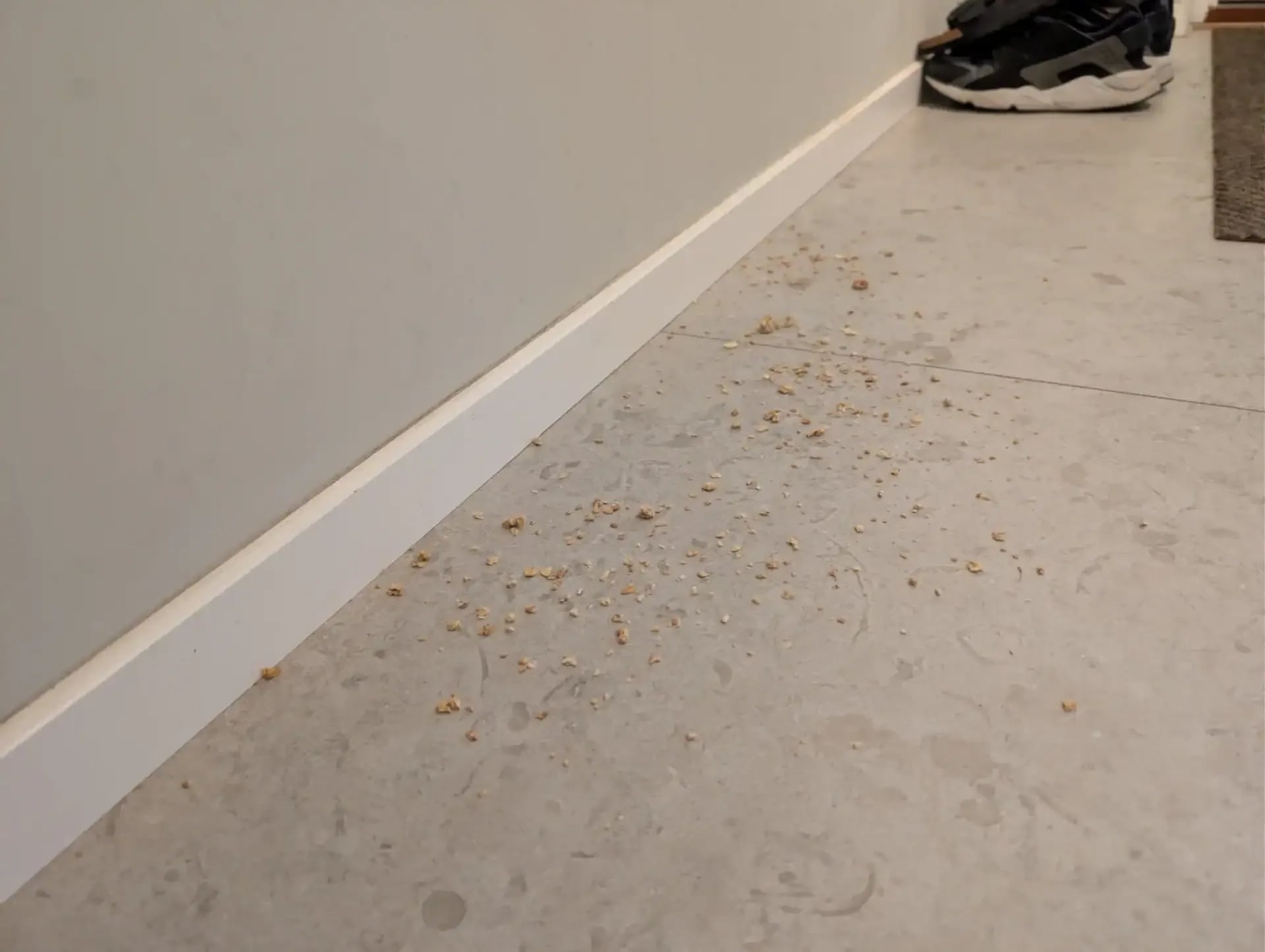 PXL_20260122_124331643-600x452.webp