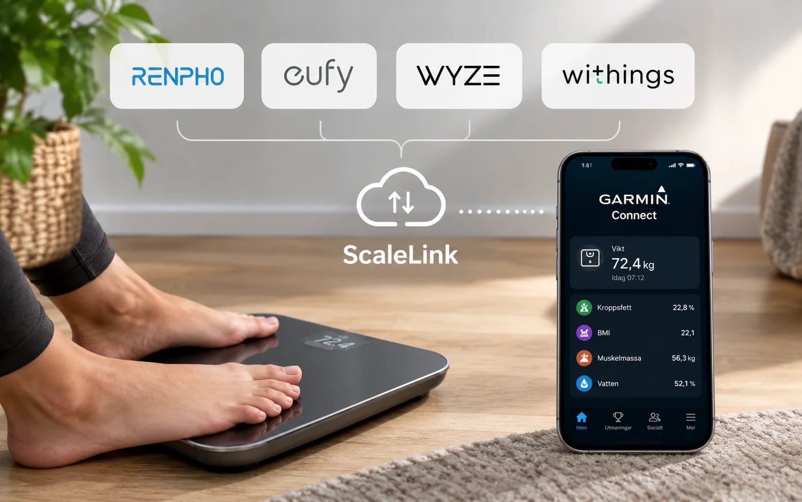garmin scaleLink