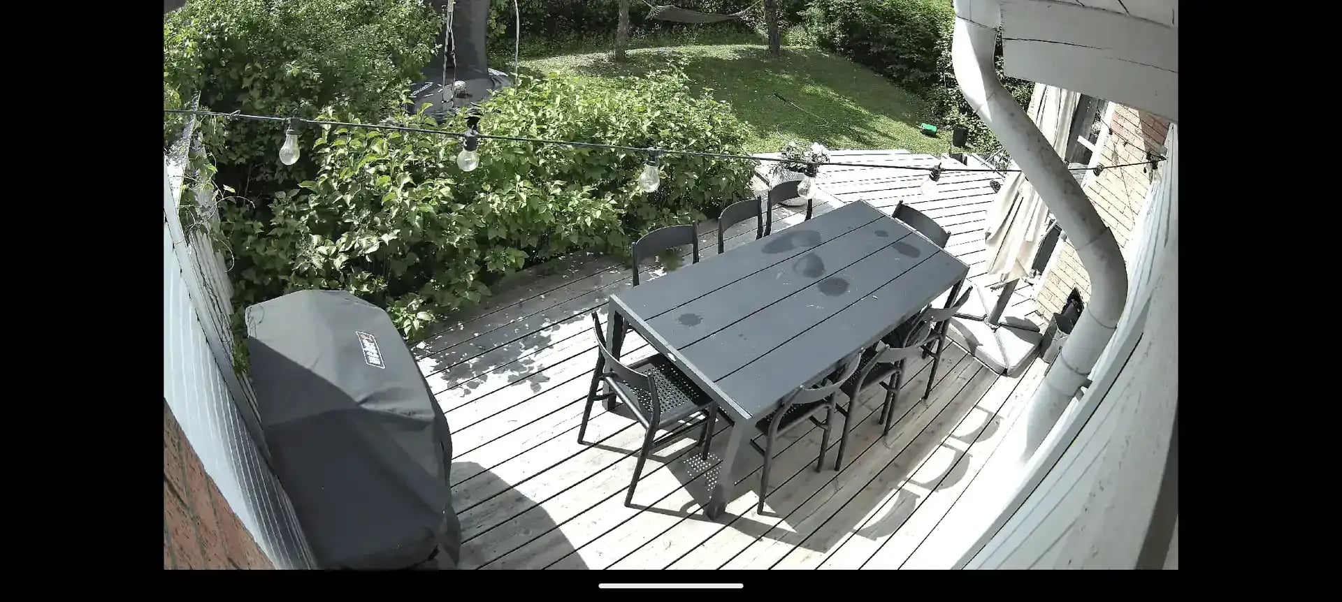 screenshot-argus-ultra-3-600x269.webp