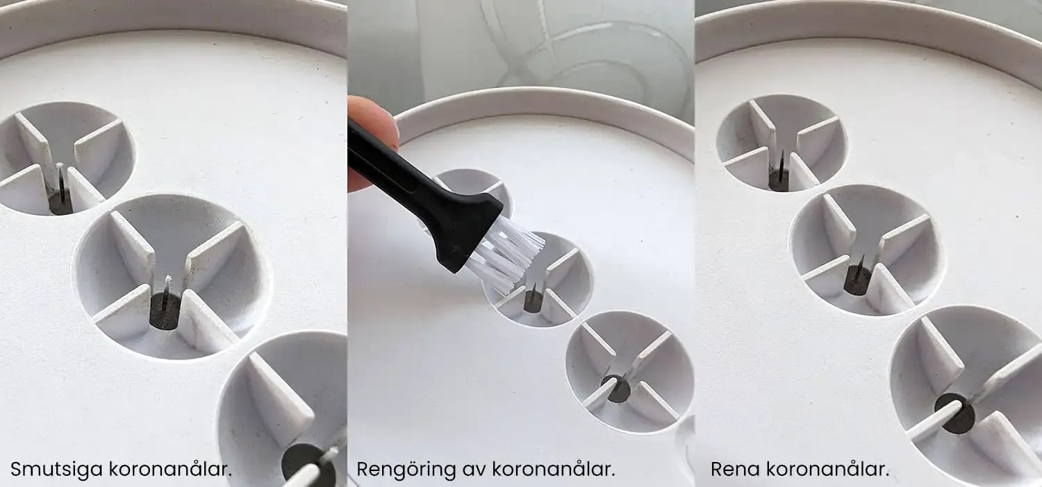 koronanalar-rengoring