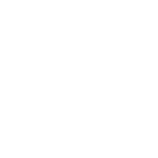 DigiNytt logo