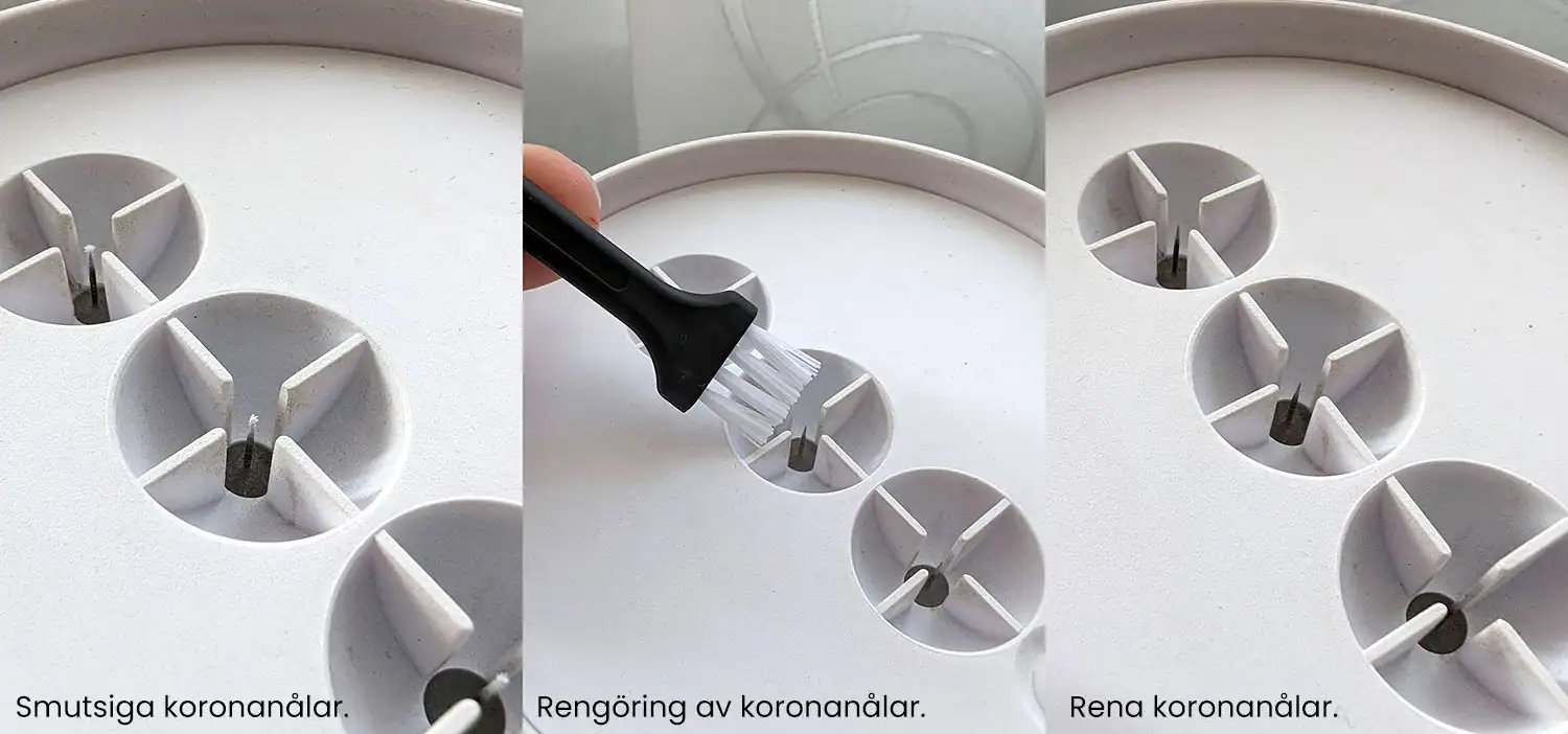 koronanalar-rengoring